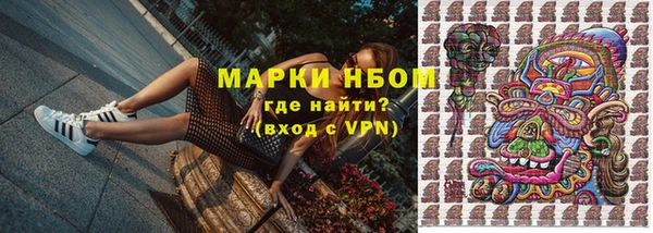 крисы Армянск