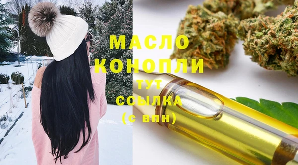 крисы Армянск
