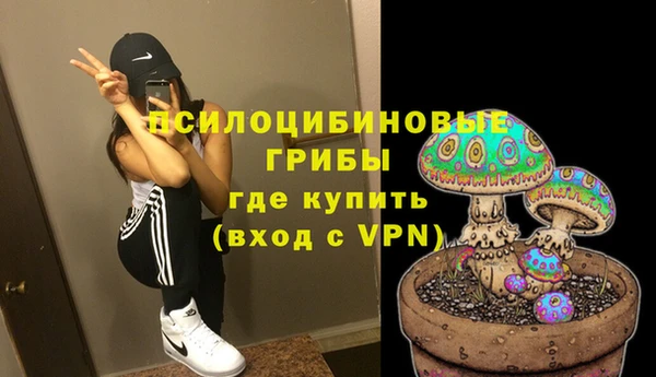 крисы Армянск