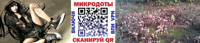 Галлюциногенные грибы MAGIC MUSHROOMS  Переславль-Залесский 
